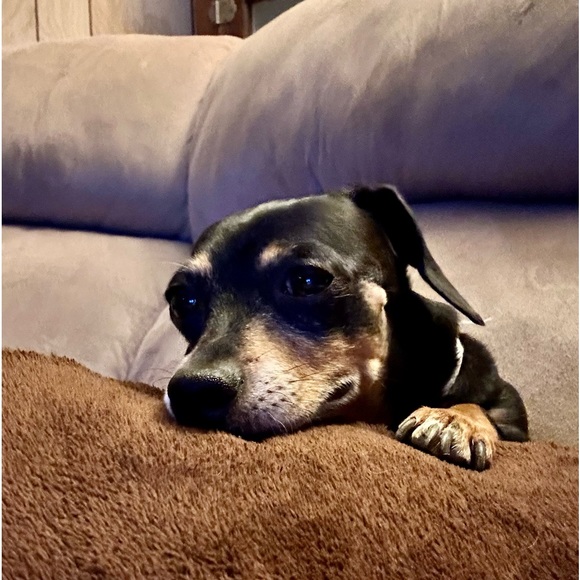 💖 Meet Your Posher 💖 - Picture 5 of 16